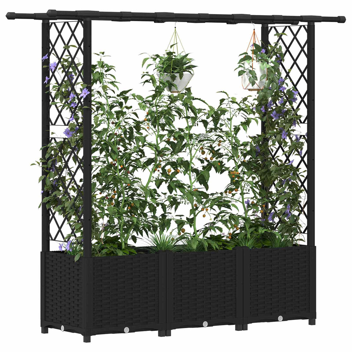 Cama Elevada Con Trellis Y Techo Negro 162,5 X 40 X 136 Cm Pp_2