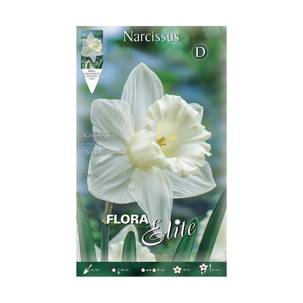 Bulbos Narciso Trompete Branco Puro Elite 5 unidades
