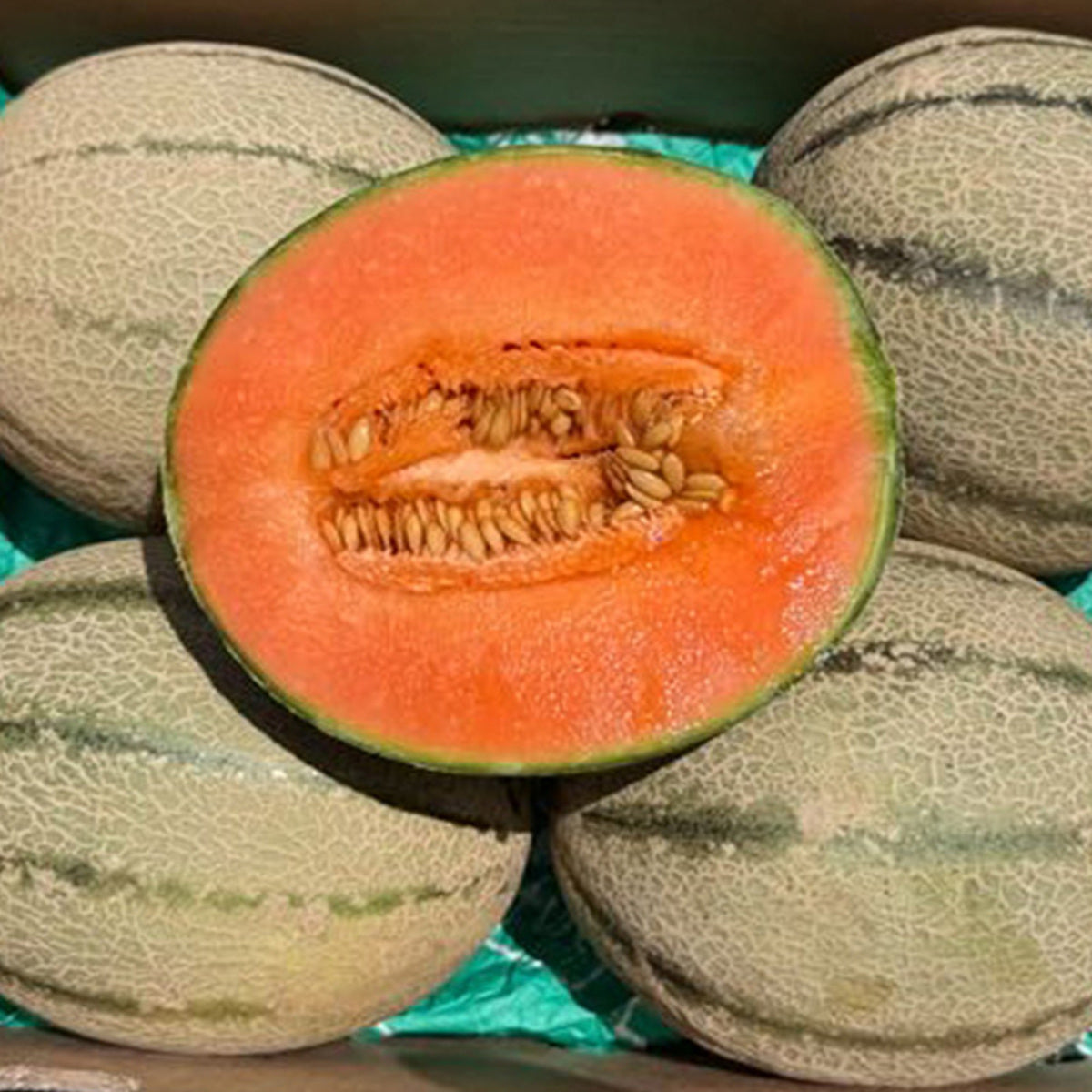 Caja De Melón Cantalupo Tropitop Caja De 3 Unidades (aprox. 4,5 Kg)_2