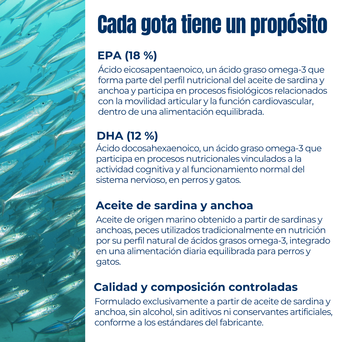 Aceite Omega 3 para perros y gatos – EPA DHA – Sardina y anchoa – 200 ml_2