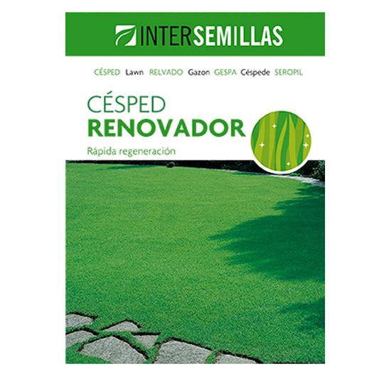Semillas De Cesped Renovador Caja 1 Kg._0