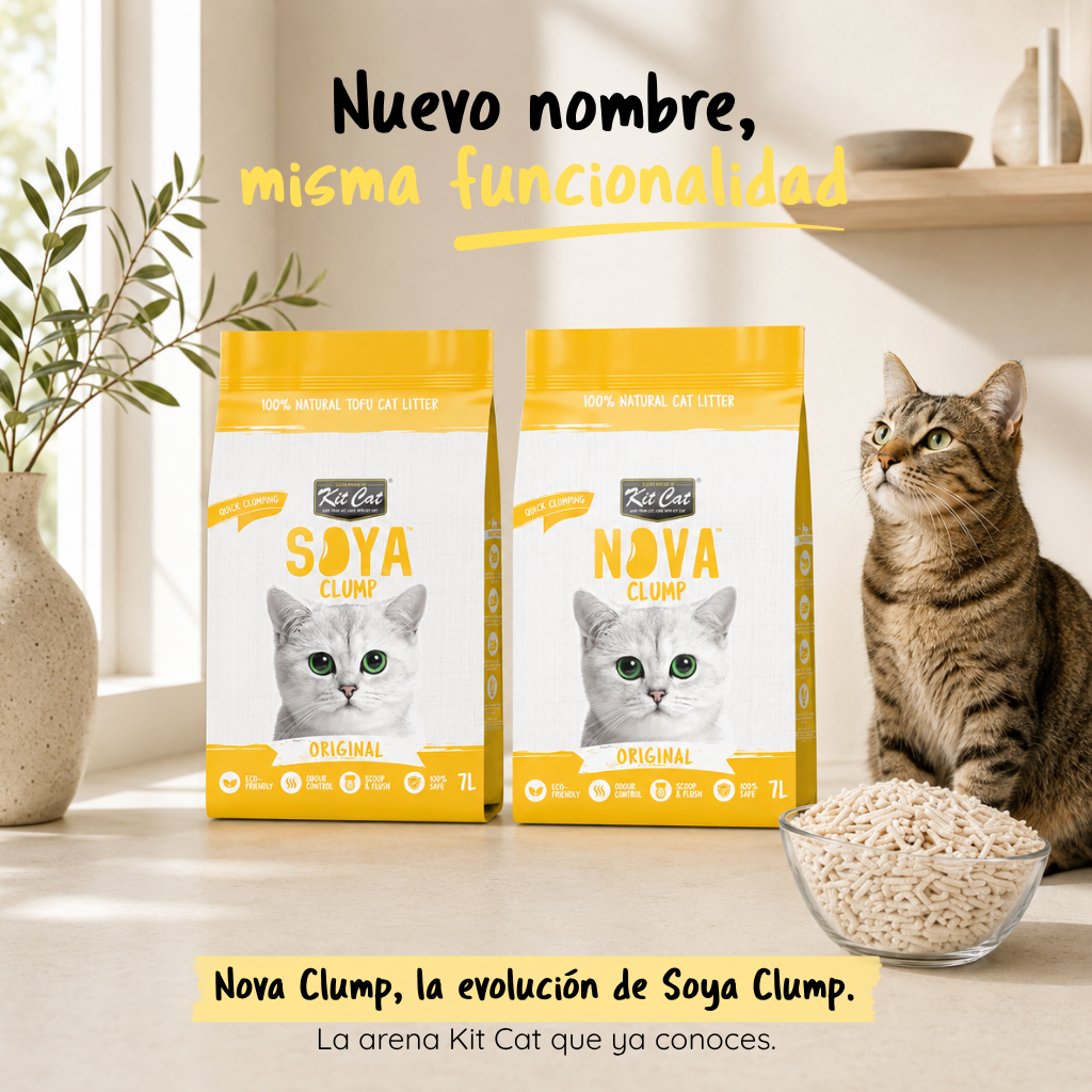 Kit de areia para gatos Eco SoyaClump - Areia para gatos original de 7 litros