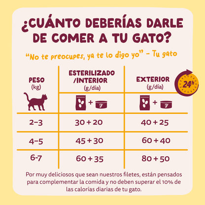Filetes de pollo con pavo para gatos Edgard & Cooper 70 g