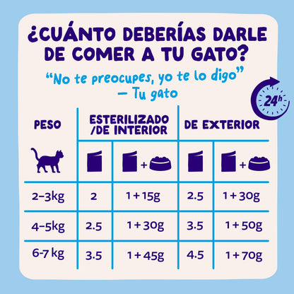 Sobres de comida húmeda para gatos Captura del Día Selección de Pescado en Salsa | Edgard & Cooper 85 g