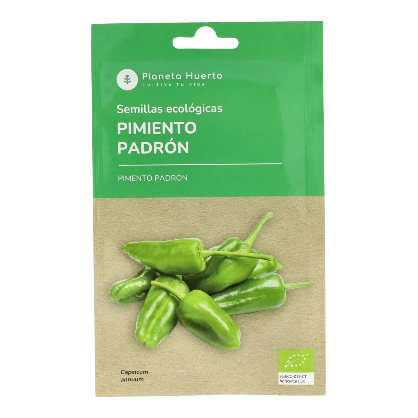 Sementes de Pimento Padrón Biológicas do Planeta Huerto