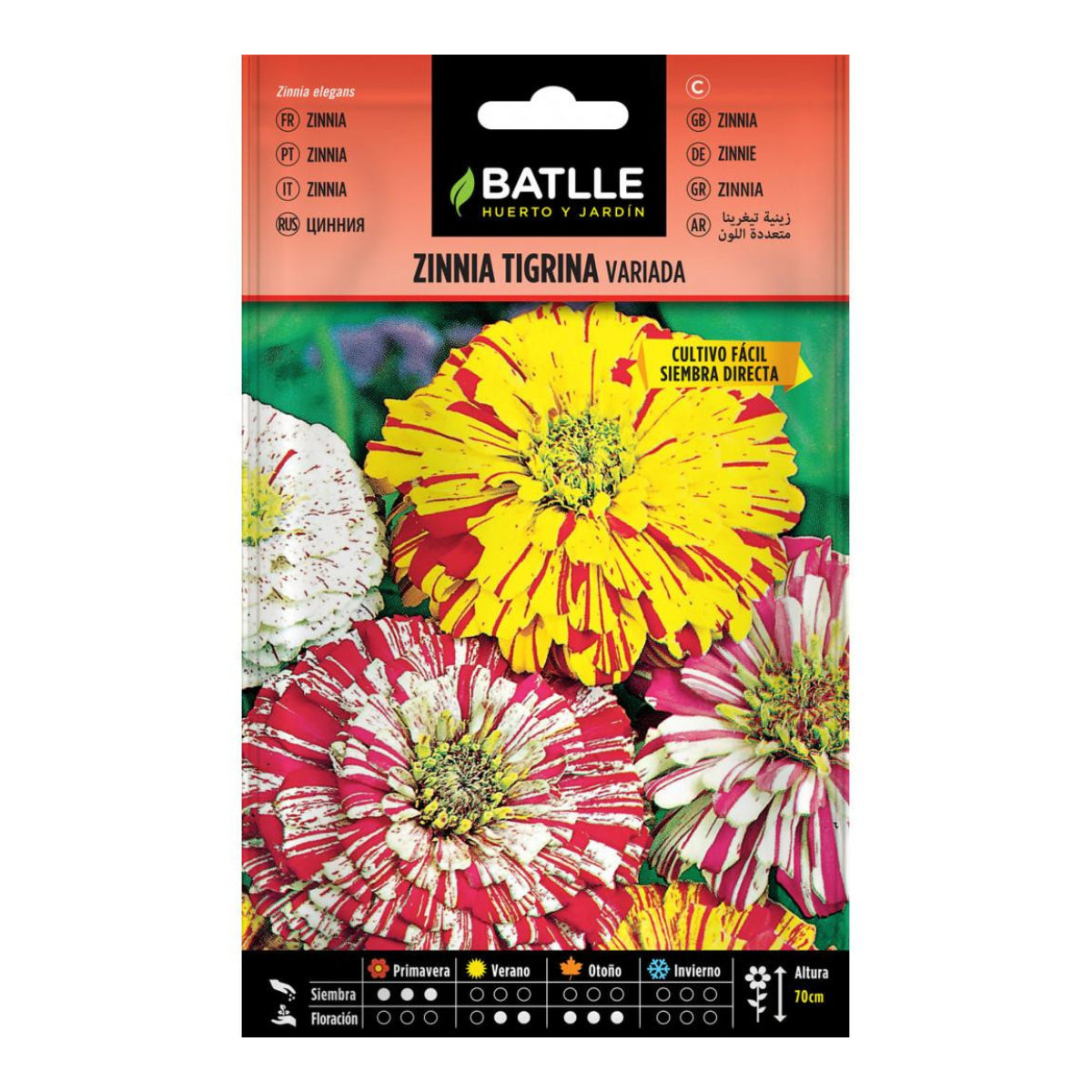 Sementes Variegadas de Zinnia Tigrina