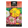 Sementes Variegadas de Zinnia Tigrina