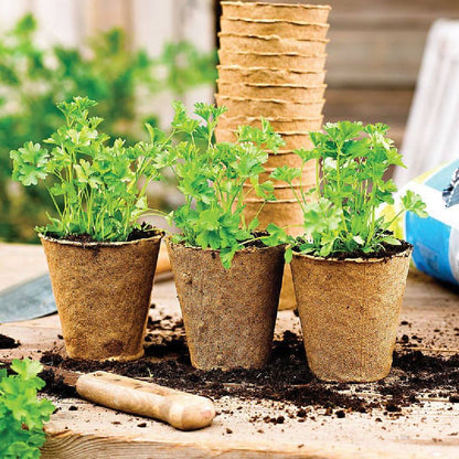 Vaso biodegradável para mudas Planeta Huerto 24 unid.
