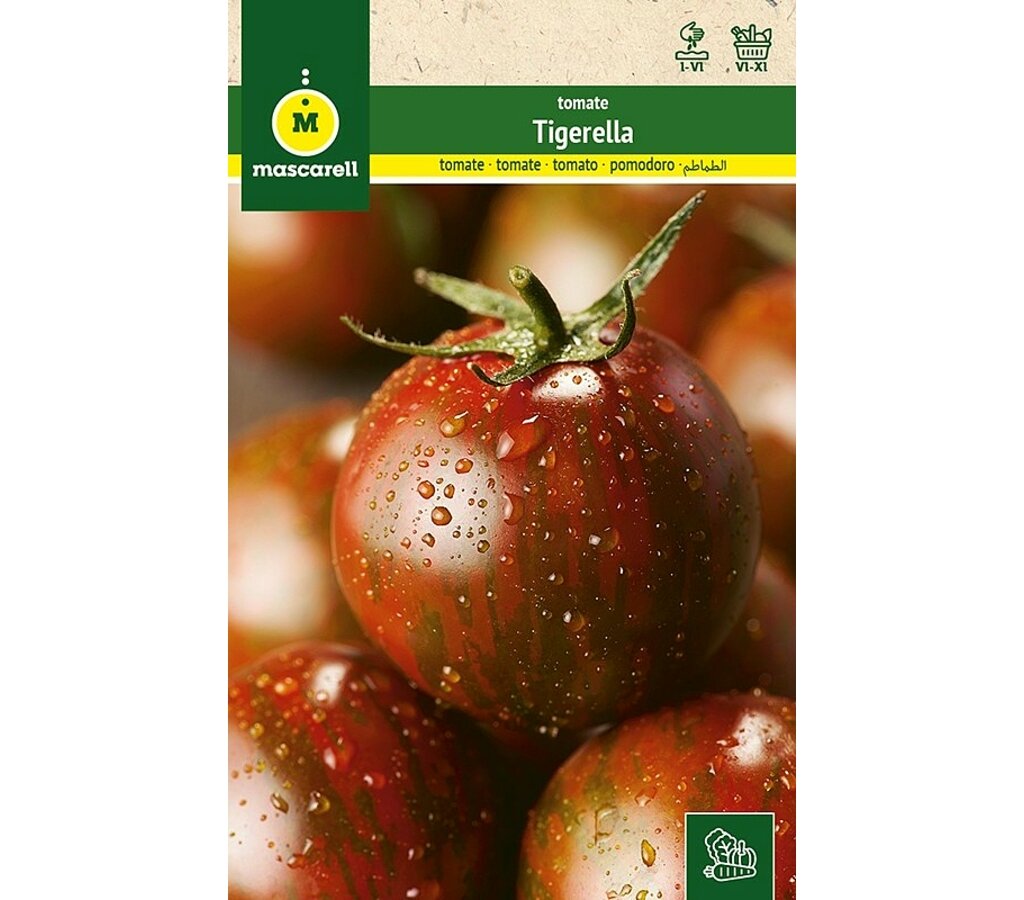 Semillas Tomate Tigerella_0