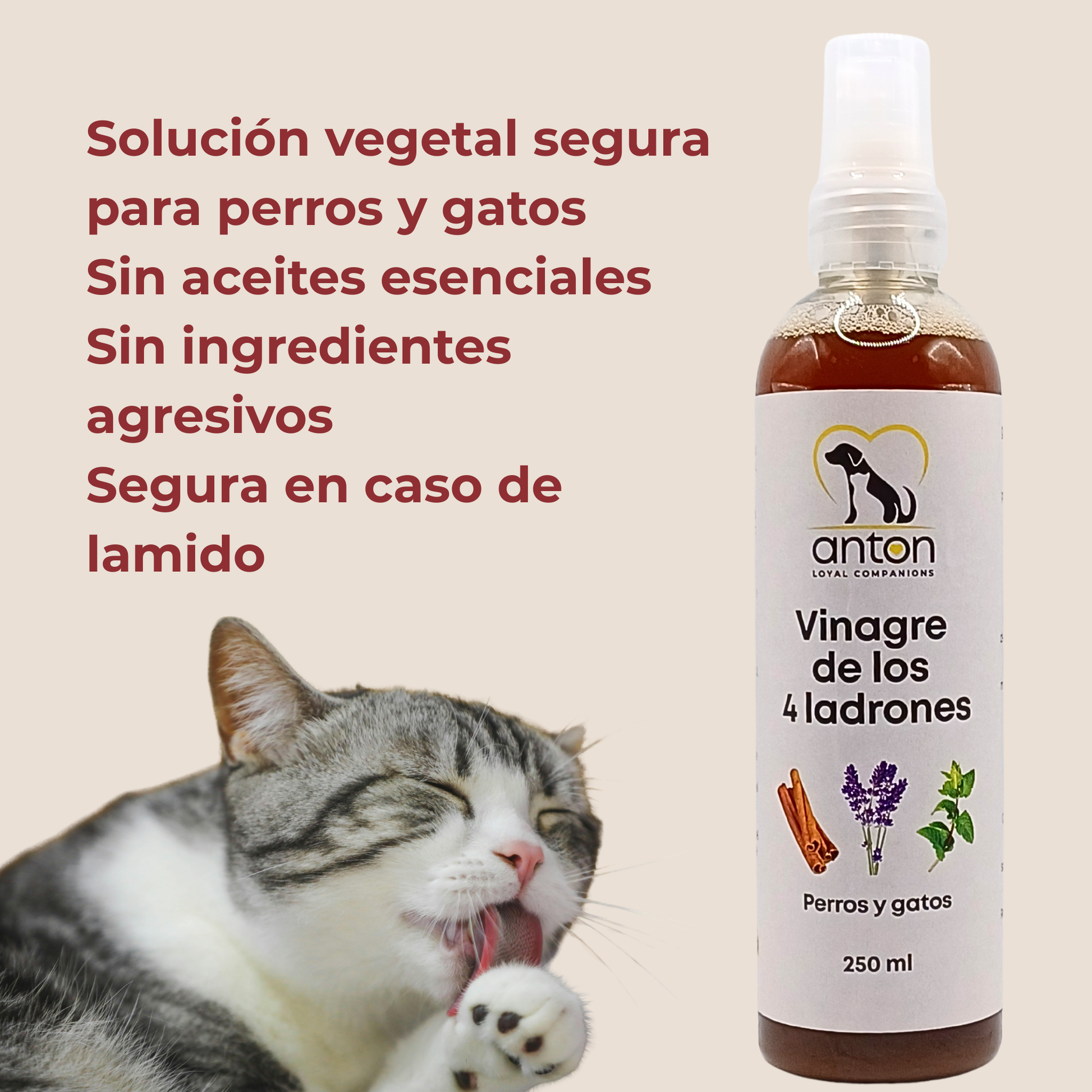 Vinagre de los 4 Ladrones para Perros y Gatos – 250ml_4