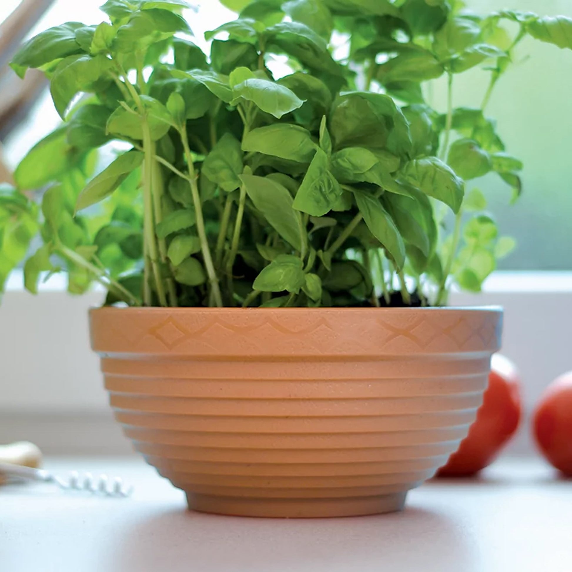 Maceta Misa 23l., Dimensiones (mm) 540x540x213, Color Terracota