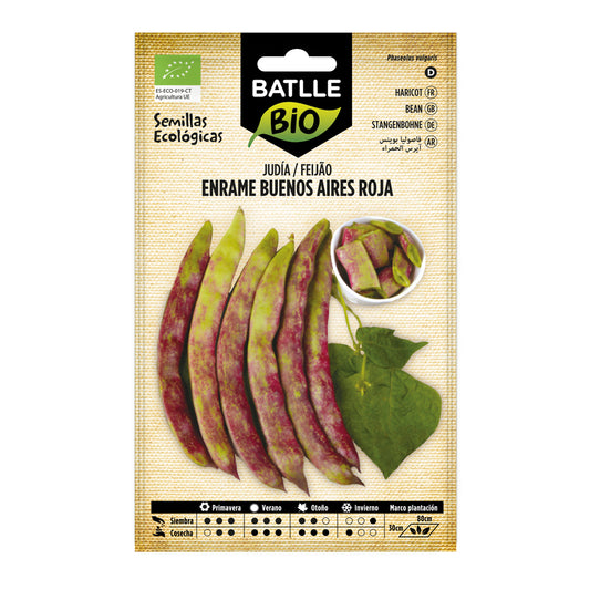 Sementes de feijão vermelho Buenos Aires biológico Batlle