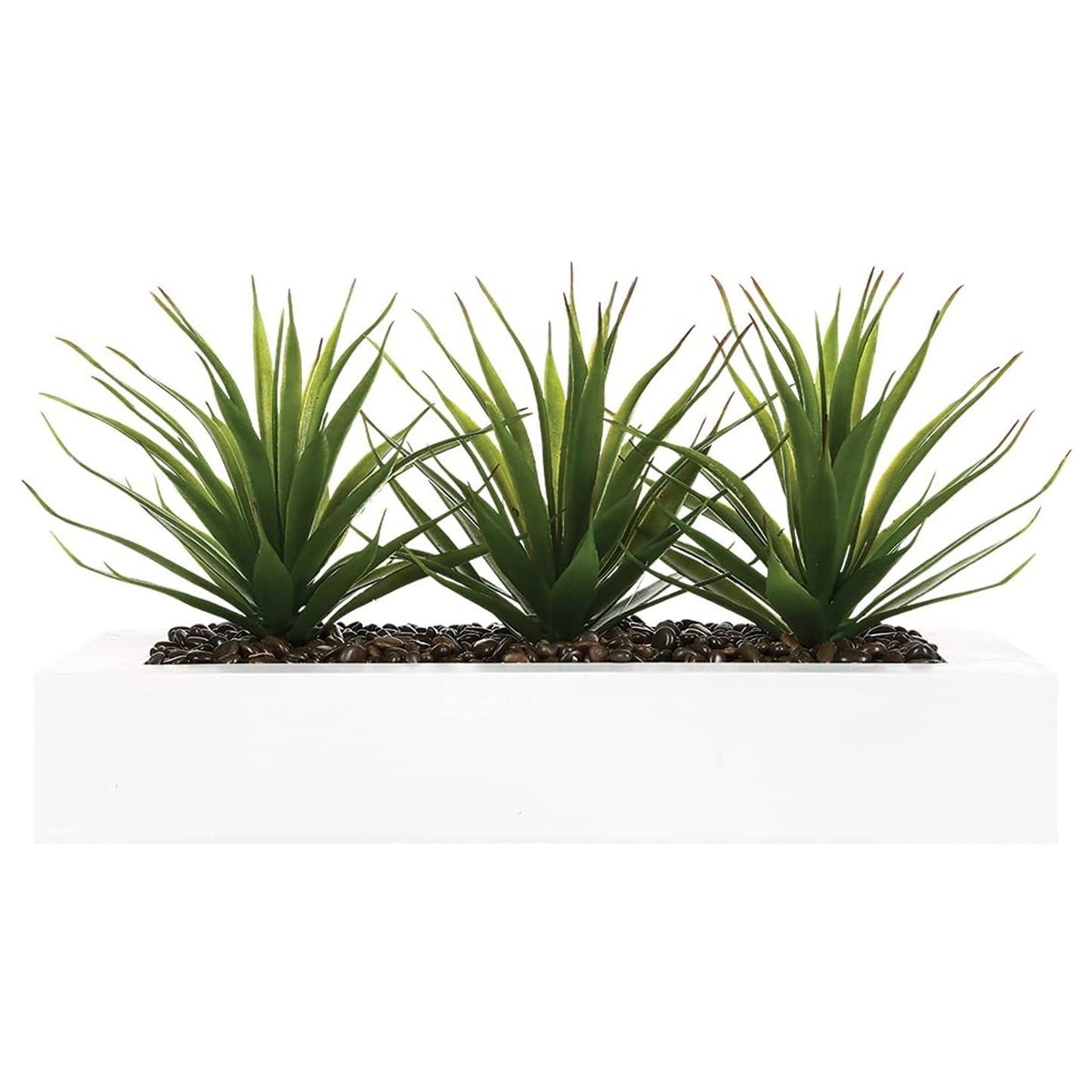 Centro De Mesa - 3 Aloe Vera - Altura  17 Cm