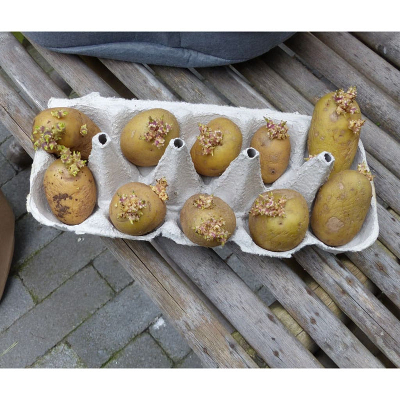 Nature Bolsa Para Cultivar Patatas Beige 37 L_5