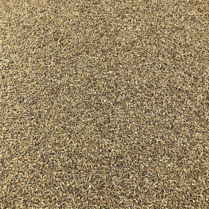 Semillas De Anis Verde Bio Granel 5 Kg_0