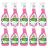 Embalagem de 10 sprays anti-calcário de framboesa Frosch 500 ml