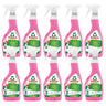 Embalagem de 10 sprays anti-calcário de framboesa Frosch 500 ml