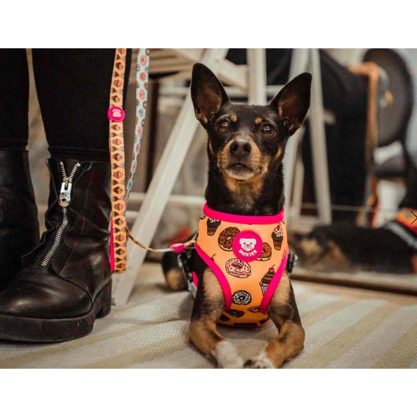 Arnês reversível para cães Dukier CUPCAKES