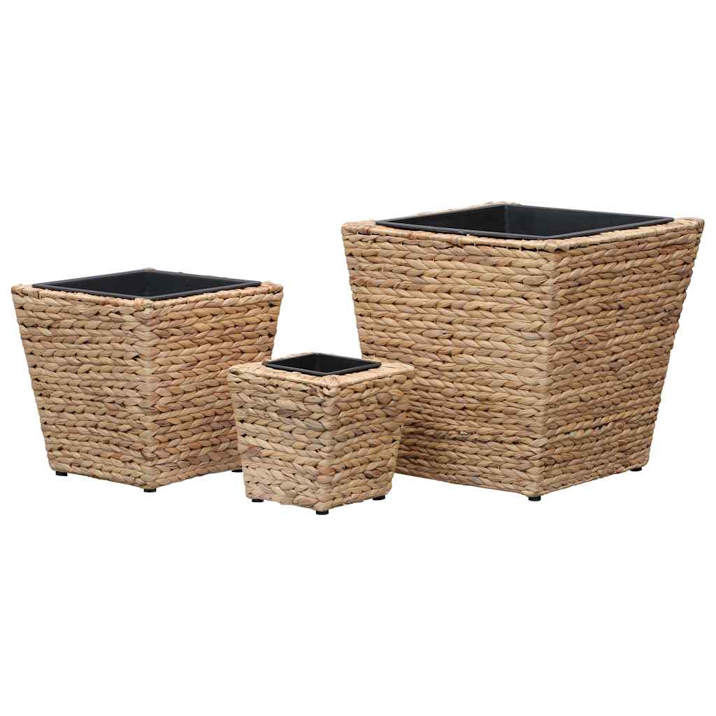 Conjunto De Arriates 3 Piezas Jacinto De Agua_3