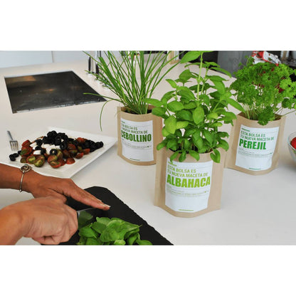 Kit de bolso para jardim de ervas: manjericão roxo