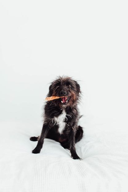 Bimordiscos Palitos De Piel De Ternera Enrollados Con Pollo Deshidratado - 60 Uds.