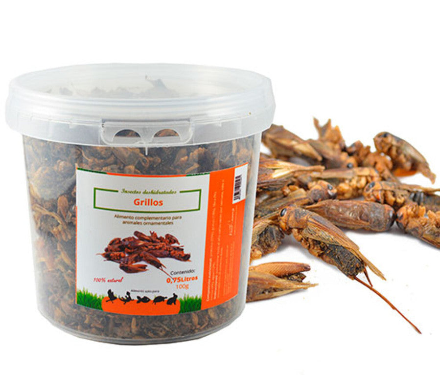 Grillos. Insectos Secos Para Alimentación De Gallinas, Patos, Aves De Corral (750 G)_0