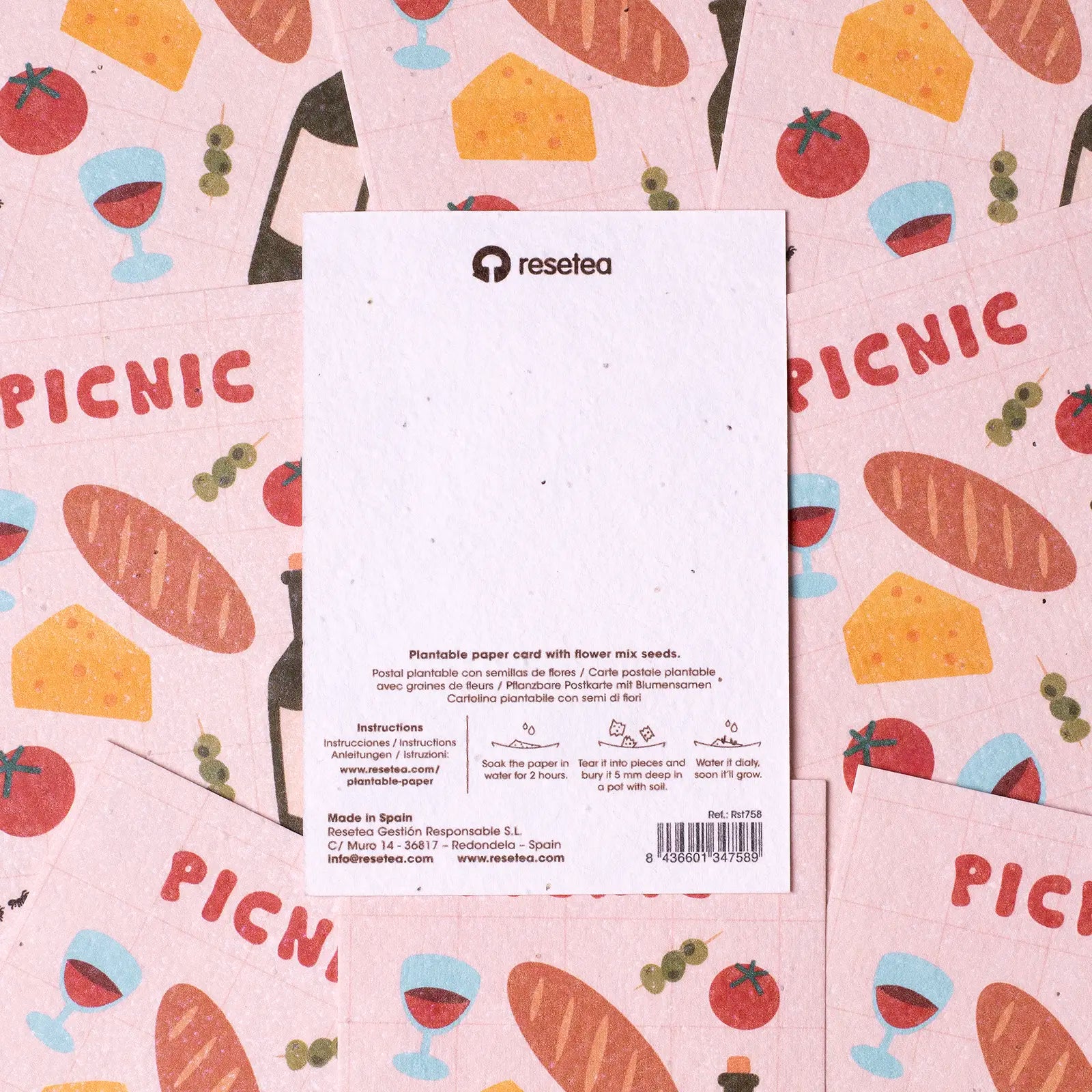Postal Plantable - Picnic_3