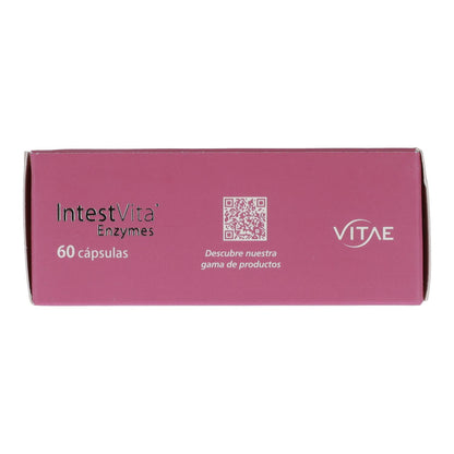 Enzimas IntestVita