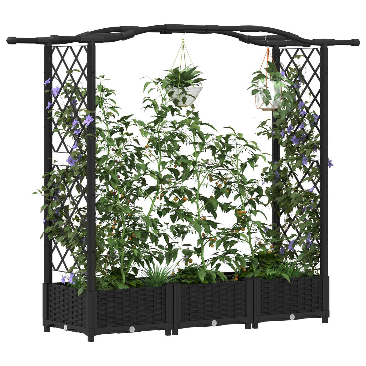 Cama Elevada Con Trellis Y Techo Negro 169 X 40 X 123 Cm Pp_2