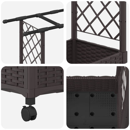 Cama Elevada Con Trellis Y Techo Marrón 164 X 40 X 127 Cm Pp_5