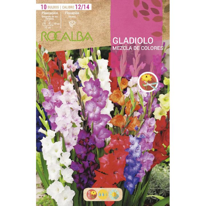 Mistura de bolbos de gladíolo 10 unidades