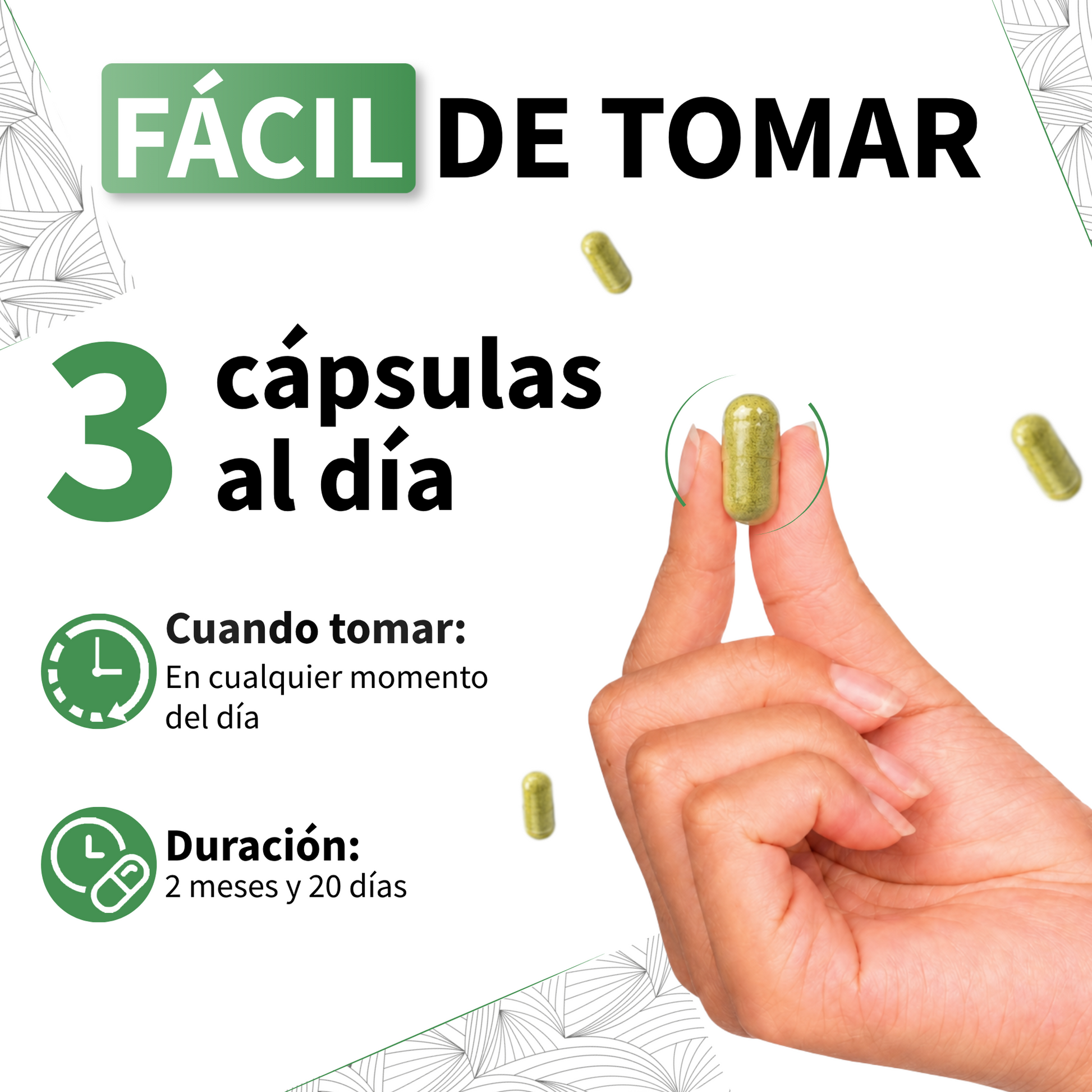 Moringa Ecológica 1650 Mg Vecos 240 Cápsulas | Energía, Defensas Y Antioxidante | Superalimento 100% Hoja_3