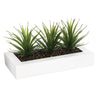 Centro De Mesa - 3 Aloe Vera - L.35 X P.14.8 X A 17, Verde