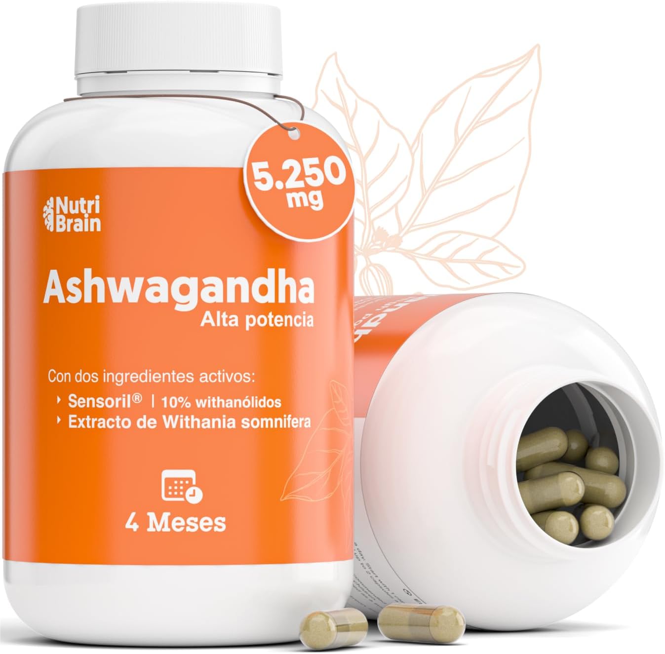 Ashwagandha Sensoril Adaptógeno Para Estrés Y Sueño Nutribrain 120 Cápsulas_0