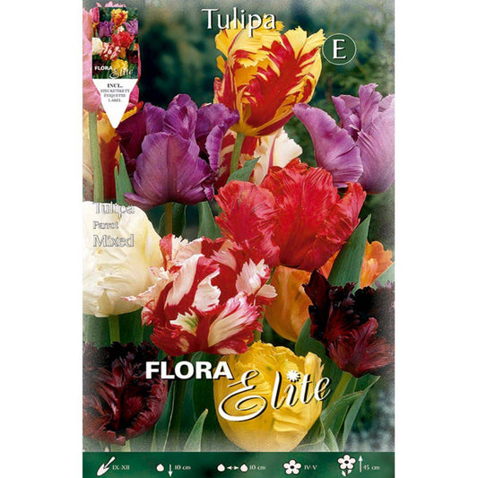 Bolbos de tulipa Elite Mix Parrot 10 unidades