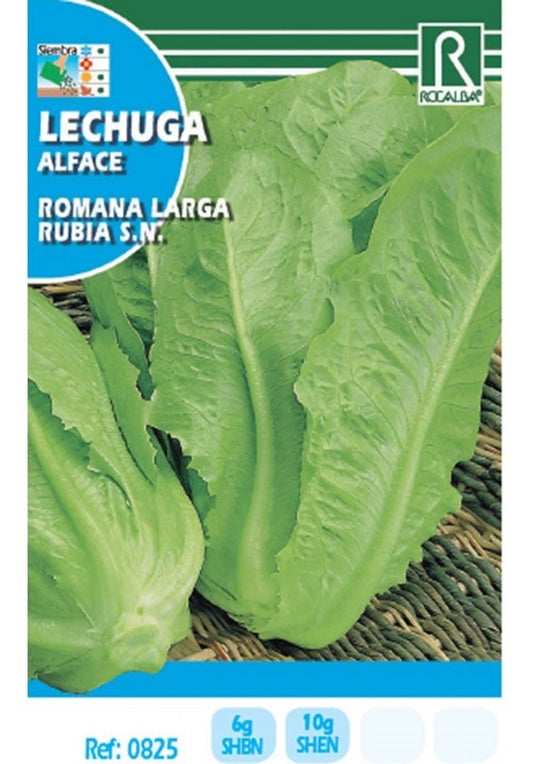 Semillas Lechuga Romana Larga 6g_0