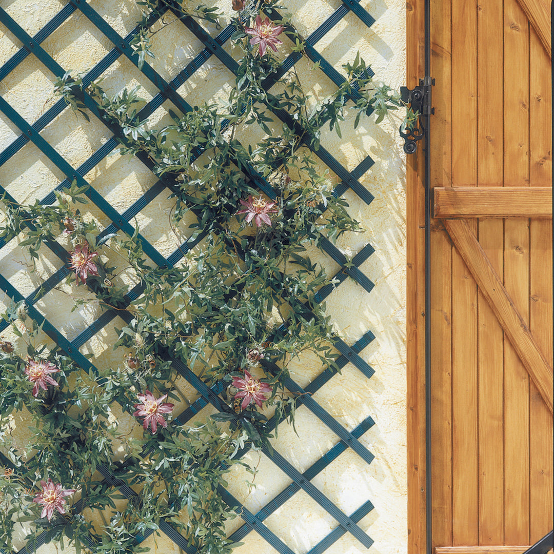 Celosia Extensible Pvc Trelliflex 1x3 M Verde Nortene_3