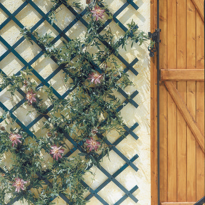 Celosia Extensible Pvc Trelliflex 1x3 M Verde Nortene_3