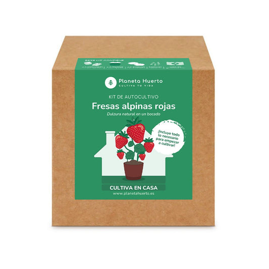 Kit de autocultivo de morangos vermelhos alpinos Planeta Huerto