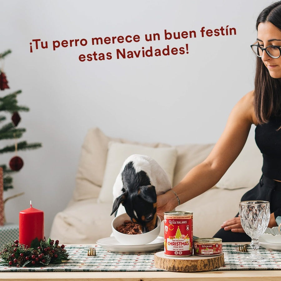 Wild Balance Christmas Recipe BARF Veado e Coelho Lata para Cães 400g