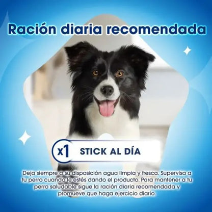 Dentalife Pequeno Petisco Dentário para cães 70 g