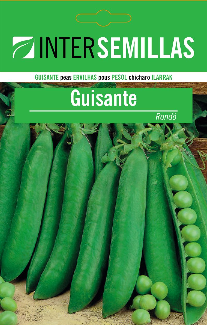 Sobre Semillas Guisante Rondo_0