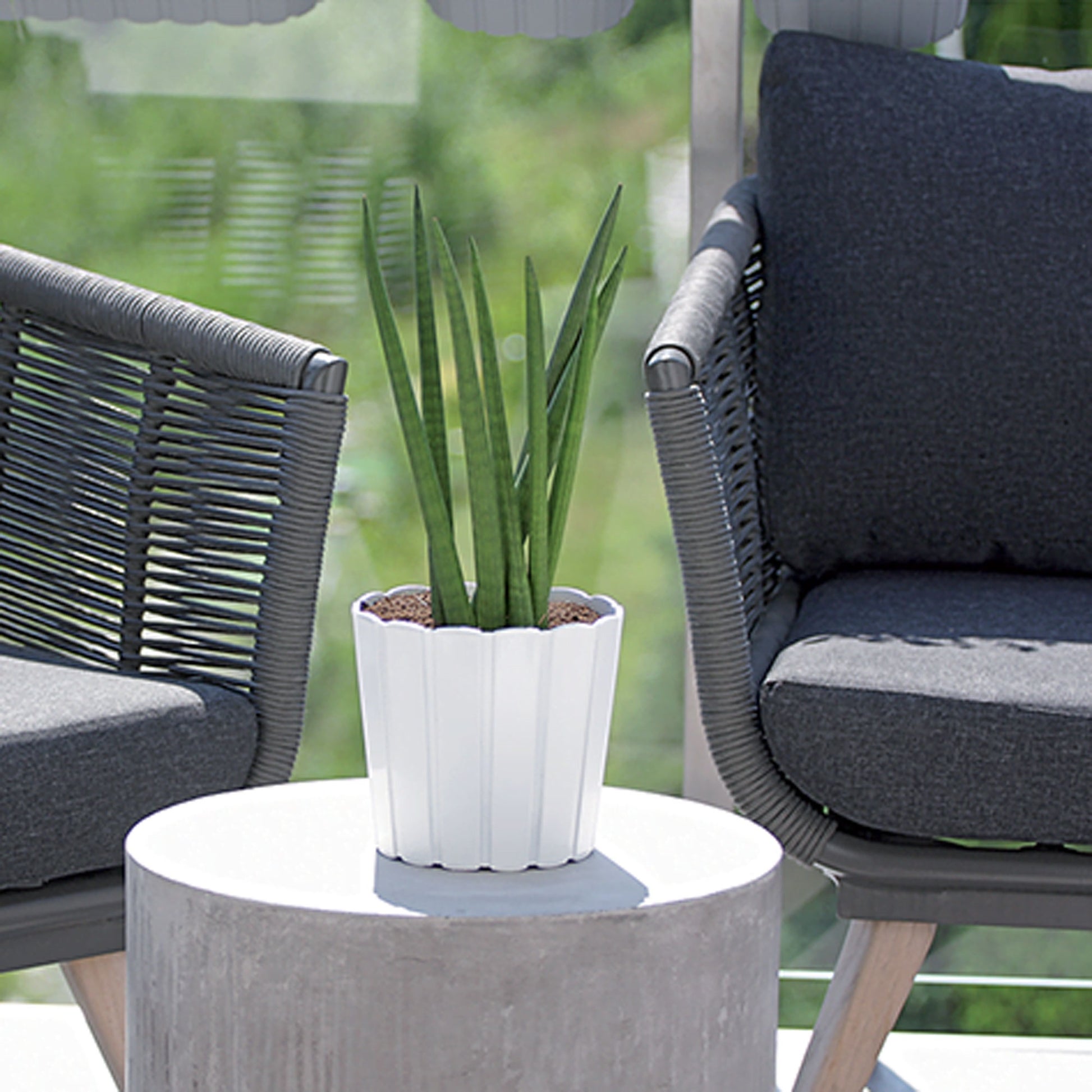 Maceta Boardee Basic 2,2l., Dimensiones (mm) 165x165x150, Color Gris Piedra