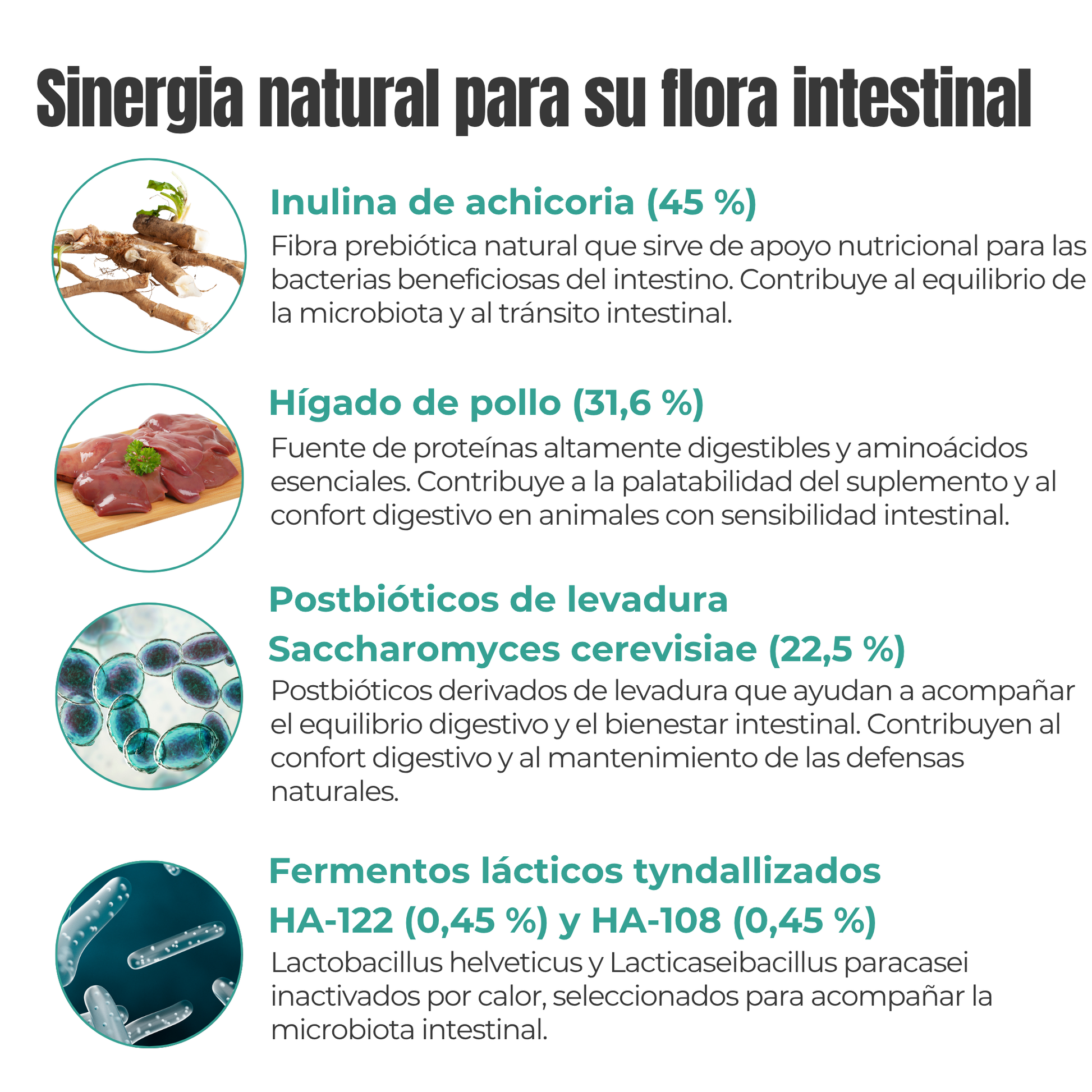 Flora intestinal para perros y gatos – Prebióticos y postbióticos – 100 g_3