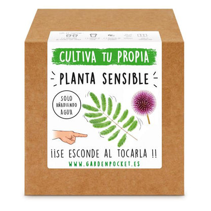 Kit de plantação de plantas sensíveis Garden Pocket