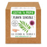 Kit de plantação de plantas sensíveis Garden Pocket