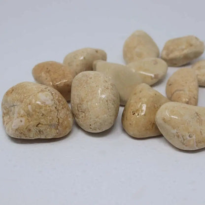 Canto Rodado Amarillo Saturno / Big Bag 1.000 Kg. / 12-24 Mm_0