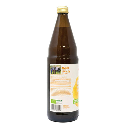 Kombucha de limão e gengibre Voelkel biológico 750 ml
