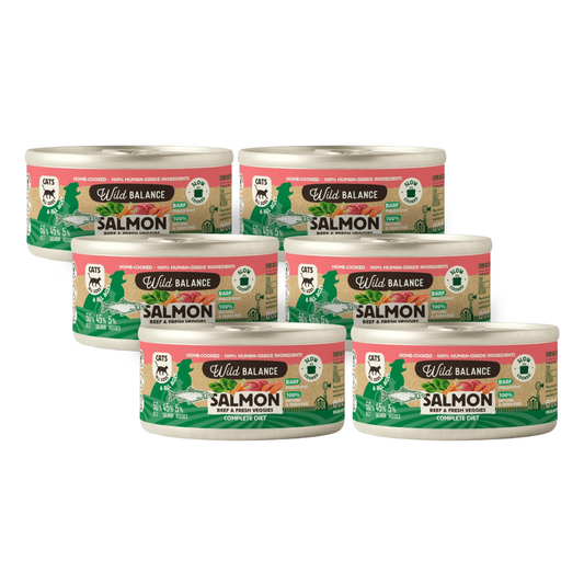 Ração enlatada BARF Wild Balance Salmão e Carne para gatos 6x120g