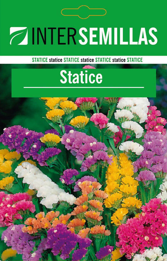 Sobre De Semillas De Statice_0